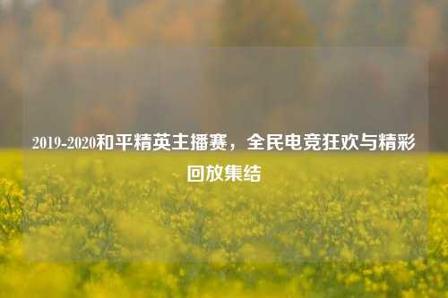 2019-2020和平精英主播赛,全民电竞狂欢与精彩回放集结