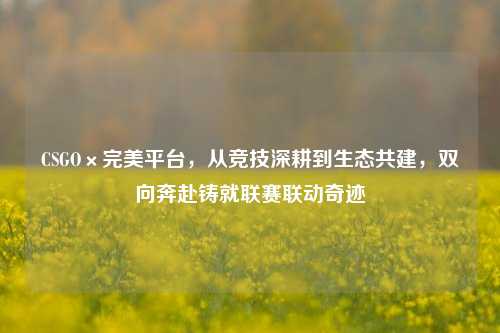 CSGO×完美平台,从竞技深耕到生态共建,双向奔赴铸就联赛联动奇迹
