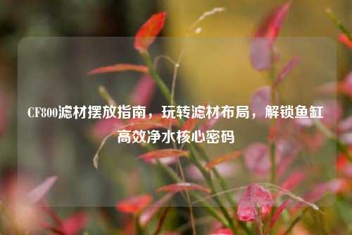 CF800滤材摆放指南,玩转滤材布局,解锁鱼缸高效净水核心密码
