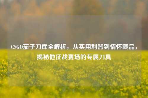 CSGO茄子刀库全解析,从实用利器到情怀藏品,揭秘他征战赛场的专属刀具