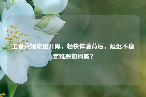 王者荣耀流量开黑,畅快体验背后,延迟不稳定难题如何破?