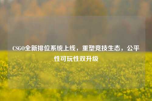 CSGO全新排位系统上线,重塑竞技生态,公平性可玩性双升级