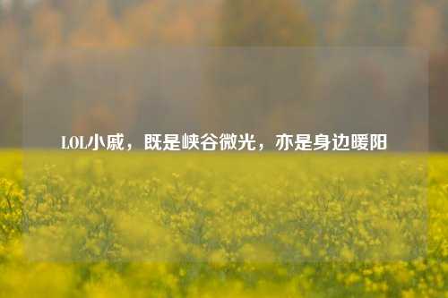 LOL小戚,既是峡谷微光,亦是身边暖阳