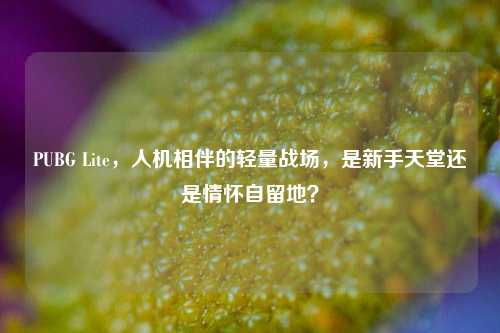 PUBG Lite,人机相伴的轻量战场,是新手天堂还是情怀自留地?