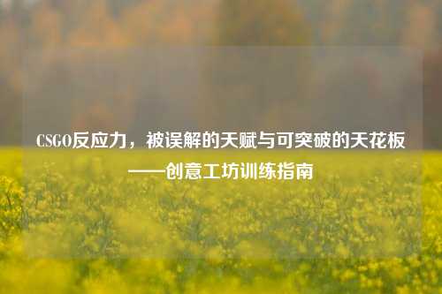 CSGO反应力,被误解的天赋与可突破的天花板——创意工坊训练指南