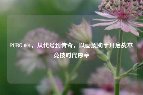 PUBG 001,从代号到传奇,以画质助手开启战术竞技时代序章