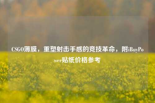 CSGO薄膜,重塑射击手感的竞技革命,附iBuyPower贴纸价格参考