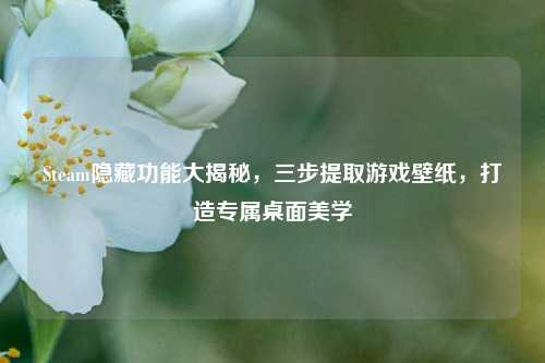 Steam隐藏功能大揭秘,三步提取游戏壁纸,打造专属桌面美学