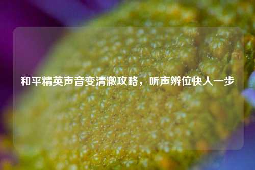 和平精英声音变清澈攻略,听声辨位快人一步