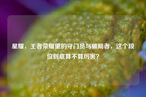 星耀,王者荣耀里的守门员与破局者,这个段位到底算不算厉害?