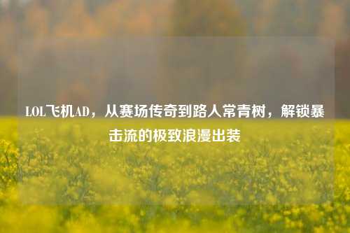 LOL飞机AD,从赛场传奇到路人常青树,解锁暴击流的极致浪漫出装