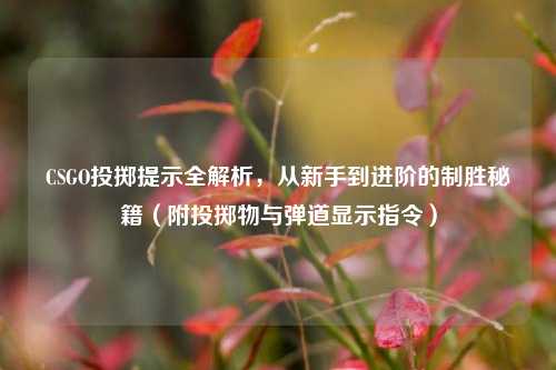 CSGO投掷提示全解析,从新手到进阶的制胜秘籍(附投掷物与弹道显示指令)