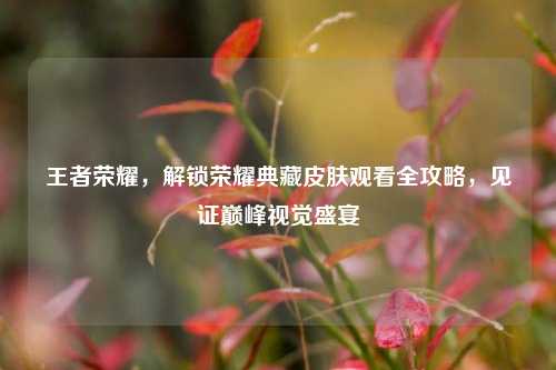 王者荣耀,解锁荣耀典藏皮肤观看全攻略,见证巅峰视觉盛宴