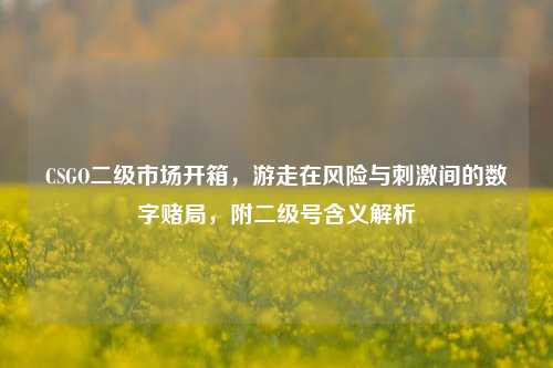 CSGO二级市场开箱,游走在风险与***间的数字赌局,附二级号含义解析