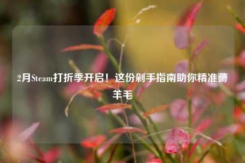 2月Steam打折季开启!这份剁手指南助你精准薅羊毛