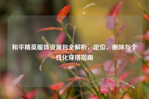 和平精英服饰资源包全解析,定位、删除与个性化穿搭指南