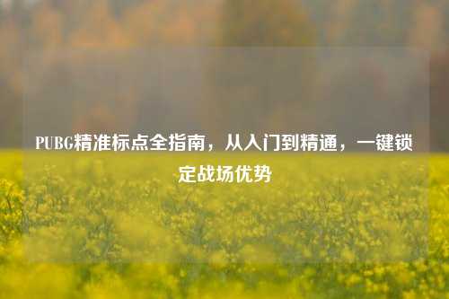 PUBG精准标点全指南,从入门到精通,一键锁定战场优势
