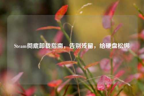 Steam彻底卸载指南,告别残留,给硬盘松绑