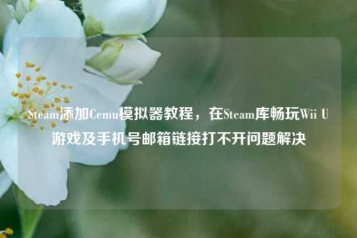 Steam添加Cemu模拟器教程,在Steam库畅玩Wii U游戏及手机号邮箱链接打不开问题解决