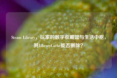 Steam Library,玩家的数字收藏馆与生活中枢,其LibraryCache能否删除?