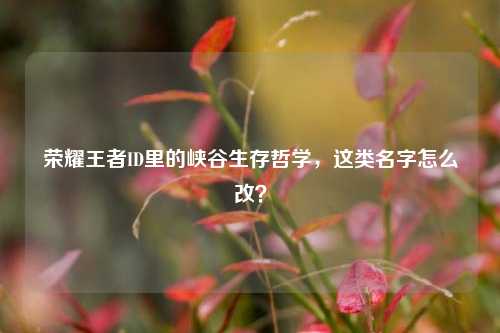 荣耀王者ID里的峡谷生存哲学,这类名字怎么改?