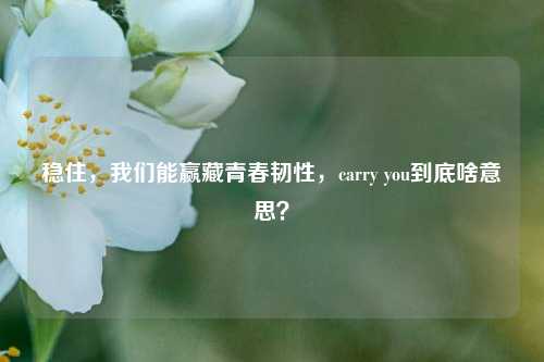 稳住,我们能赢藏青春韧性,carry you到底啥意思?