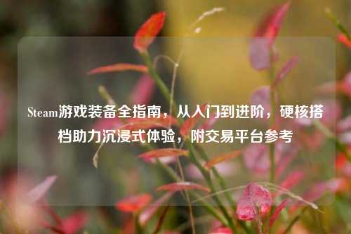 Steam游戏装备全指南,从入门到进阶,硬核搭档助力沉浸式体验,附交易平台参考
