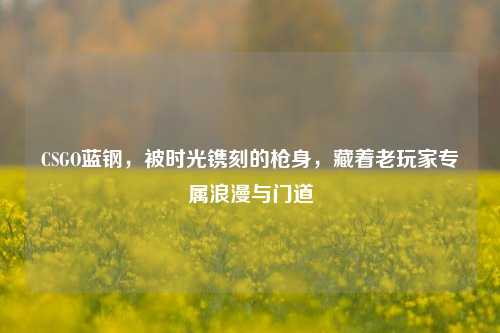 CSGO蓝钢,被时光镌刻的枪身,藏着老玩家专属浪漫与门道