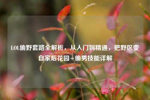 LOL偷野套路全解析,从入门到精通,把野区变自家后花园+偷男技能详解