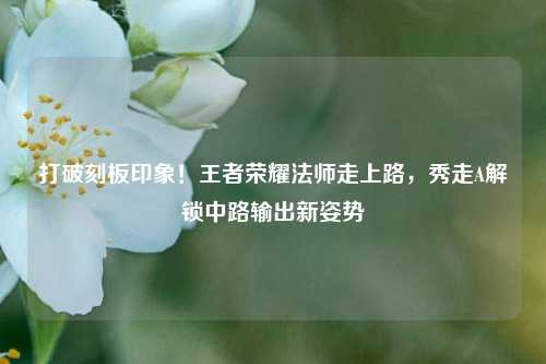 打破刻板印象!王者荣耀法师走上路,秀走A解锁中路输出新姿势