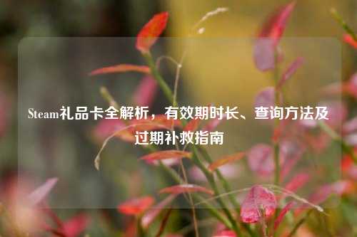 Steam礼品卡全解析,有效期时长、查询 及过期补救指南