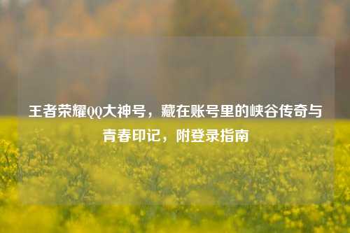 王者荣耀 大神号,藏在账号里的峡谷传奇与青春印记,附登录指南