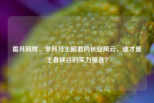 霜月同辉,芈月与王昭君的长安风云,谁才是王者峡谷的实力强者?