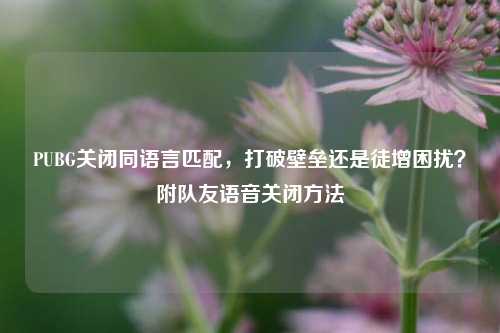 PUBG关闭同语言匹配,打破壁垒还是徒增困扰?附队友语音关闭