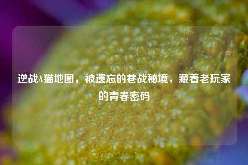 逆战A猫地图,被遗忘的巷战秘境,藏着老玩家的青春密码