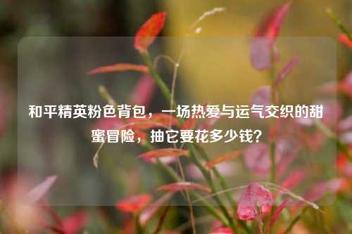 和平精英粉色背包,一场热爱与运气交织的甜蜜冒险,抽它要花多少钱?