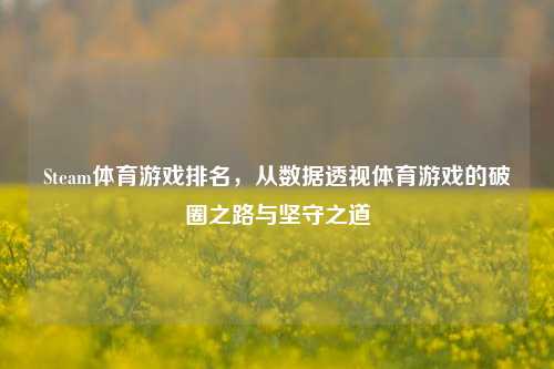 Steam体育游戏排名,从数据透视体育游戏的破圈之路与坚守之道