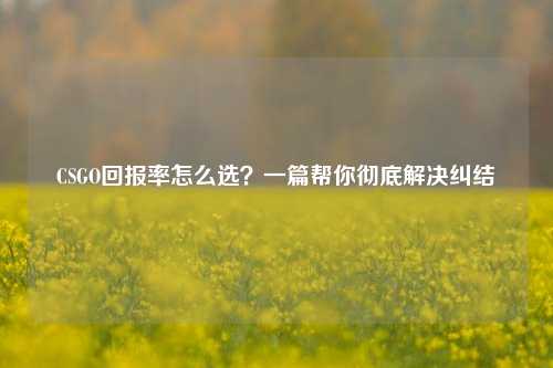CSGO回报率怎么选?一篇帮你彻底解决纠结