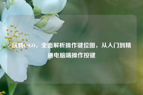 玩转CSGO,全面解析操作键位图,从入门到精通电脑端操作按键