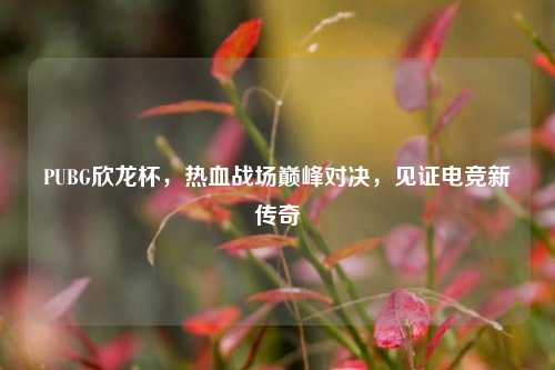 PUBG欣龙杯,热血战场巅峰对决,见证电竞新传奇