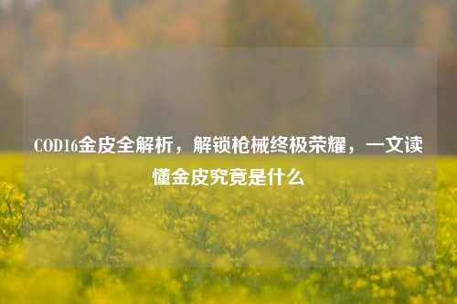 COD16金皮全解析,解锁枪械终极荣耀,一文读懂金皮究竟是什么