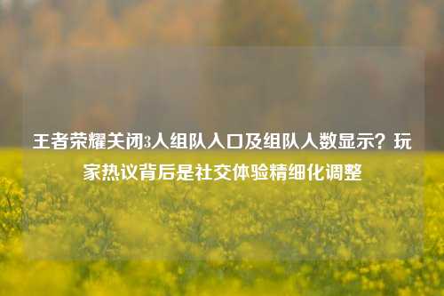 王者荣耀关闭3人组队入口及组队人数显示?玩家热议背后是社交体验精细化调整