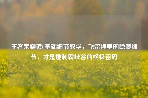 王者荣耀镜0基础细节教学,飞雷神里的隐藏细节,才是她制霸峡谷的终极密码