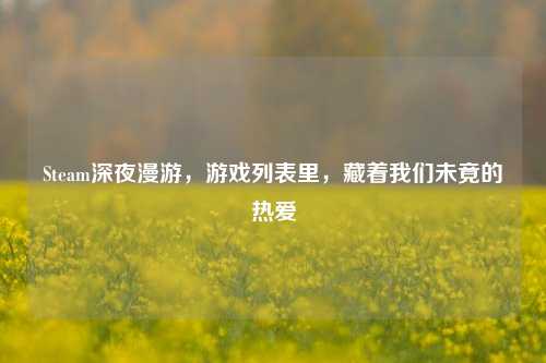 Steam深夜漫游,游戏列表里,藏着我们未竟的热爱
