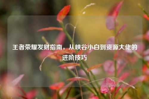 王者荣耀发财指南,从峡谷小白到资源大佬的进阶技巧