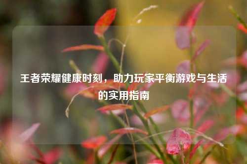 王者荣耀健康时刻,助力玩家平衡游戏与生活的实用指南