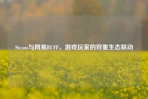Steam与网易BUFF,游戏玩家的双重生态联动