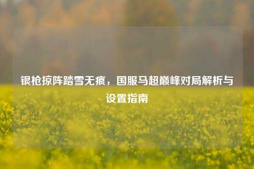 银枪掠阵踏雪无痕,国服马超巅峰对局解析与设置指南