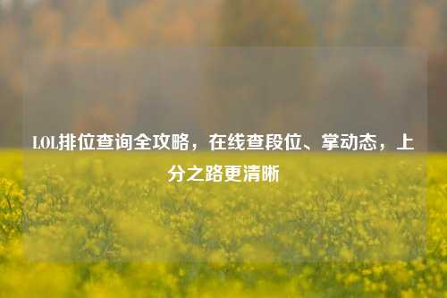 LOL排位查询全攻略,在线查段位、掌动态,上分之路更清晰
