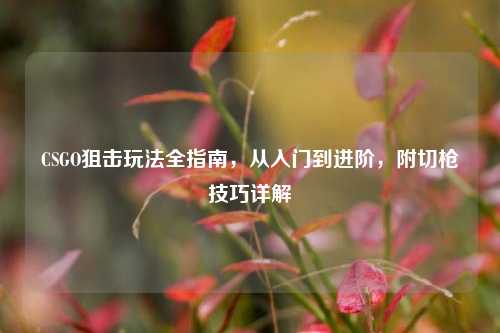 CSGO狙击玩法全指南,从入门到进阶,附切枪技巧详解